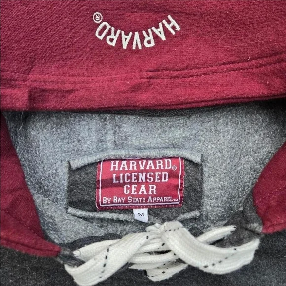 Red and Gray Collegiate Sweatshirt with Hood - Picture 4 of 5